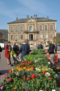 ©ddayphoto - fleurs et plantes